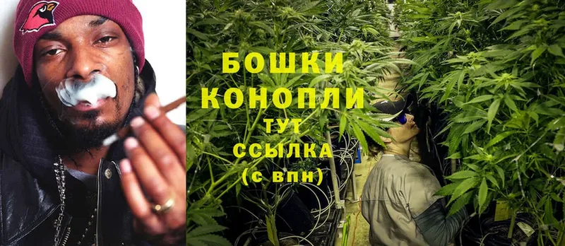 где купить   Подпорожье  Каннабис THC 21% 